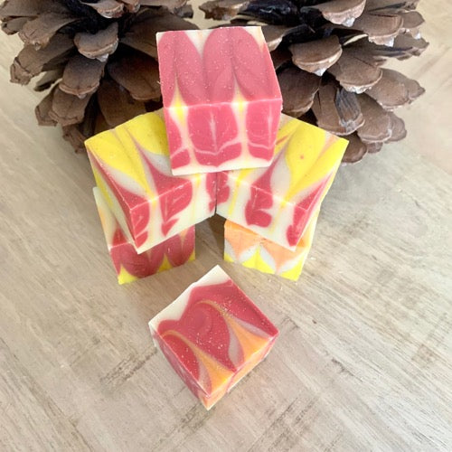 Cubes savons à l'orange 50G Infiny Bulles