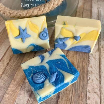 Promo savons carrés